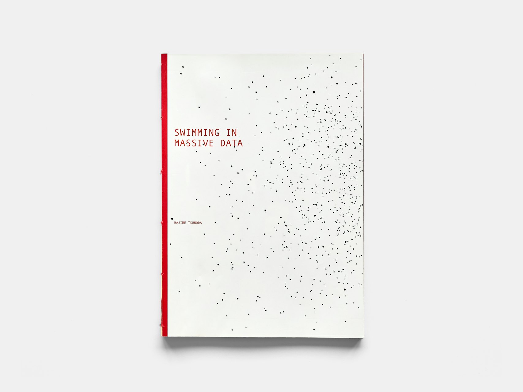 Swimming in Massive Data の画像 3